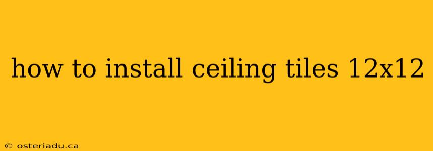 how to install ceiling tiles 12x12