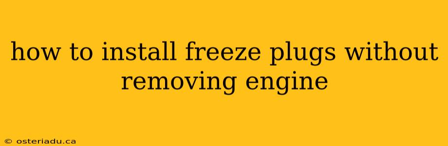 how to install freeze plugs without removing engine