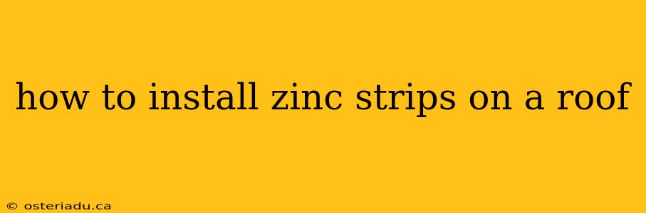 how to install zinc strips on a roof