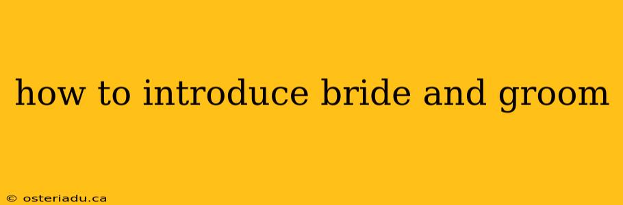 how to introduce bride and groom