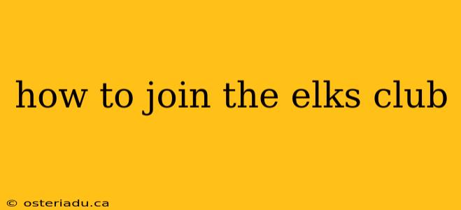 how to join the elks club