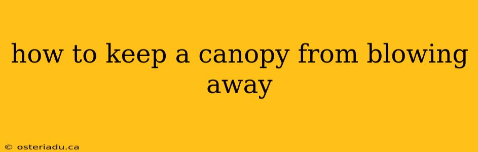 how to keep a canopy from blowing away