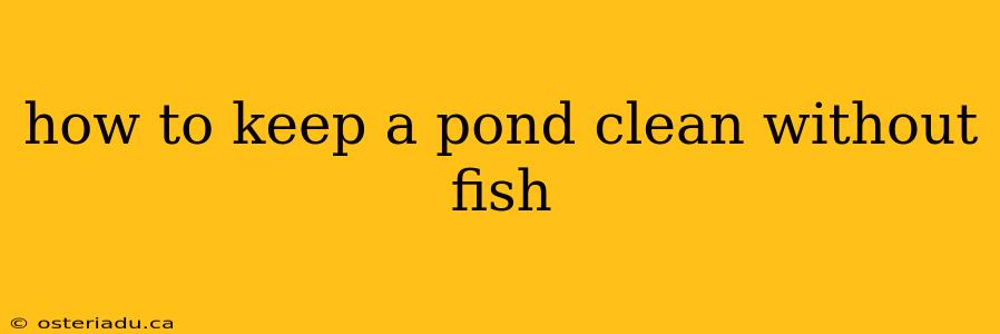 how to keep a pond clean without fish