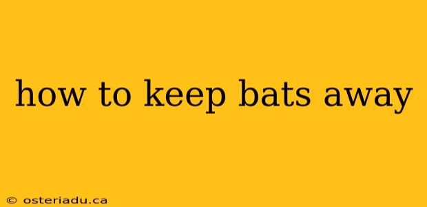 how to keep bats away