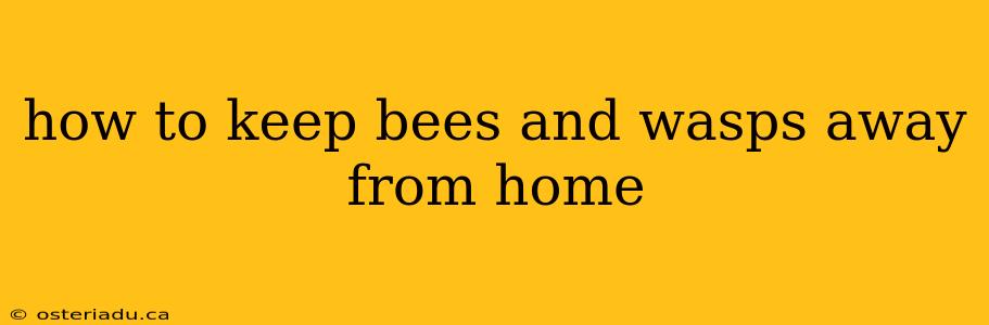 how to keep bees and wasps away from home