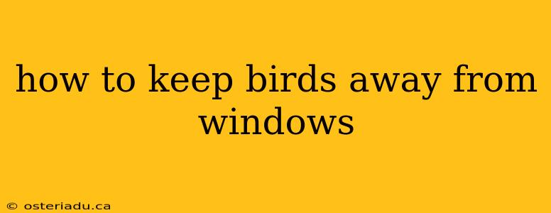 how to keep birds away from windows