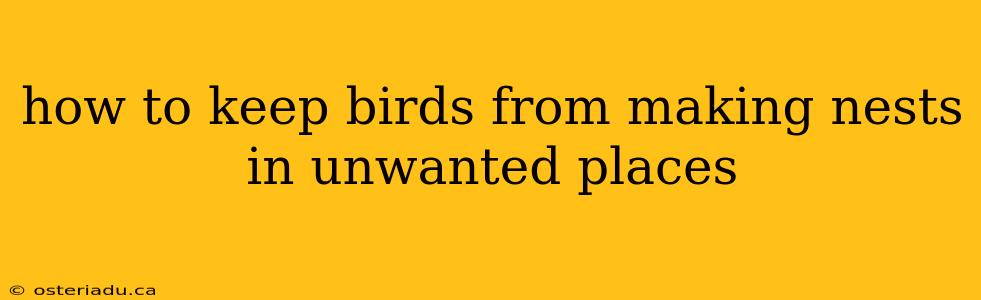 how to keep birds from making nests in unwanted places