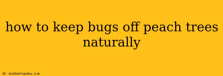 how to keep bugs off peach trees naturally