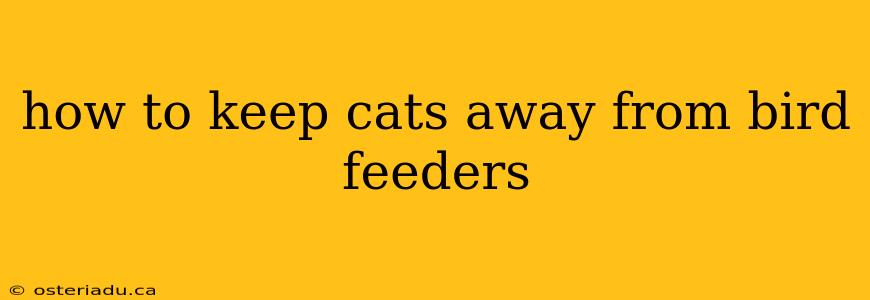 how to keep cats away from bird feeders