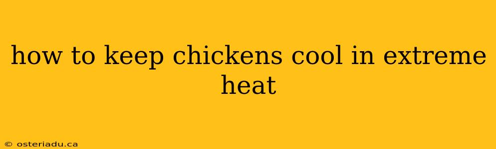 how to keep chickens cool in extreme heat