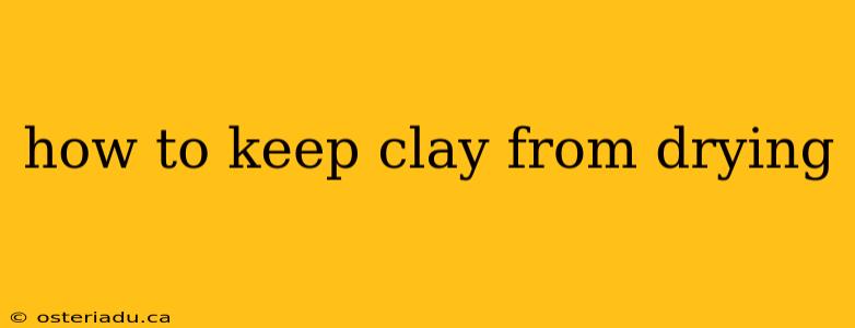 how to keep clay from drying