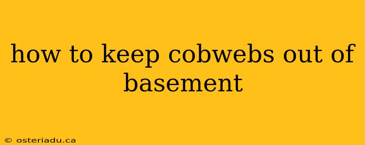 how to keep cobwebs out of basement