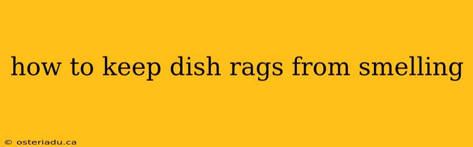 how to keep dish rags from smelling