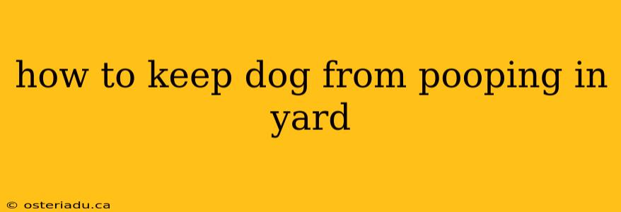 how to keep dog from pooping in yard