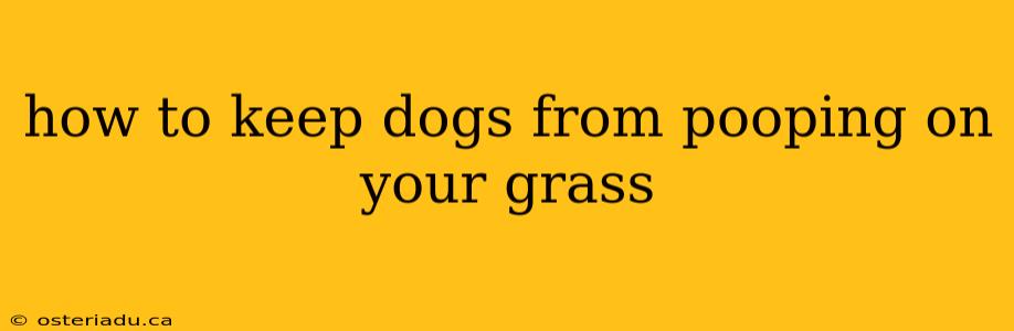 how to keep dogs from pooping on your grass