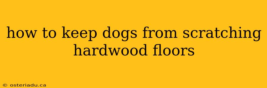 how to keep dogs from scratching hardwood floors