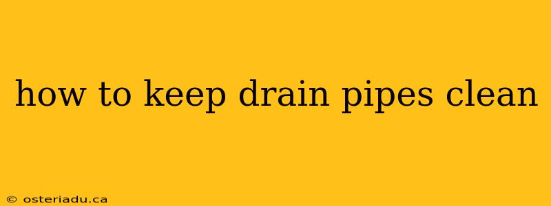 how to keep drain pipes clean