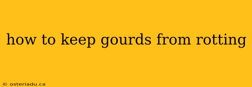 how to keep gourds from rotting