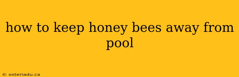 how to keep honey bees away from pool