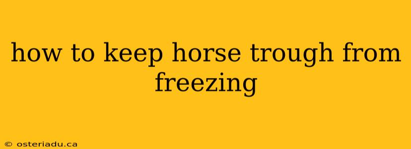 how to keep horse trough from freezing