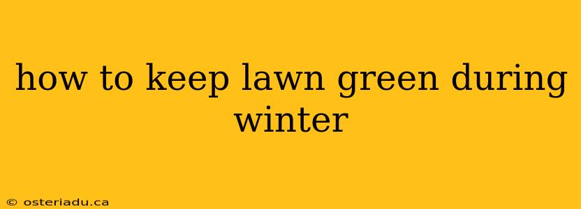 how to keep lawn green during winter