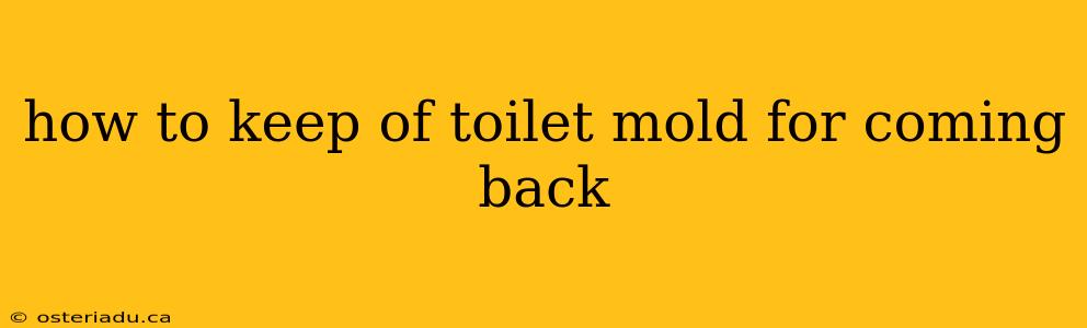 how to keep of toilet mold for coming back