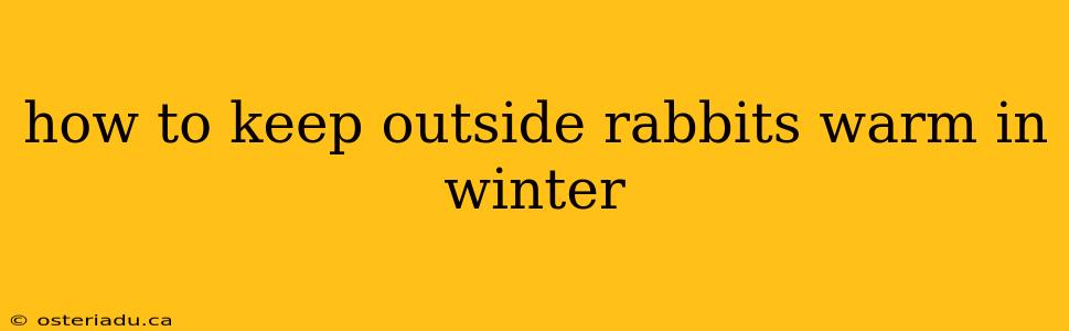 how to keep outside rabbits warm in winter