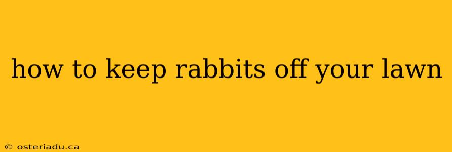 how to keep rabbits off your lawn