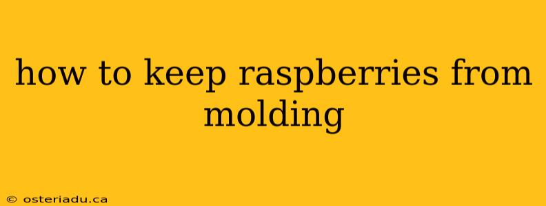 how to keep raspberries from molding