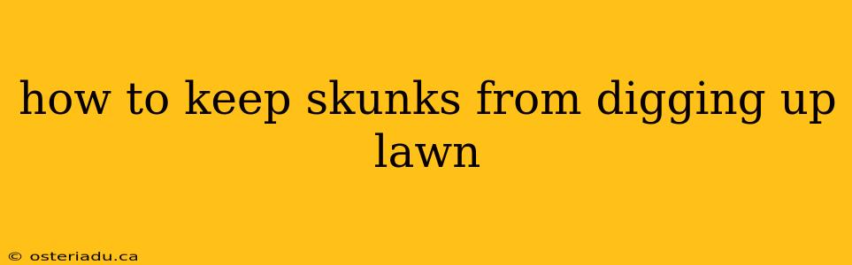 how to keep skunks from digging up lawn