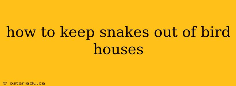 how to keep snakes out of bird houses