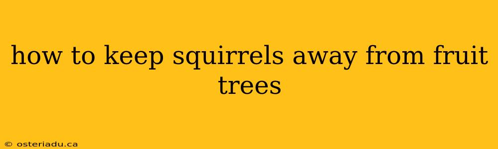 how to keep squirrels away from fruit trees