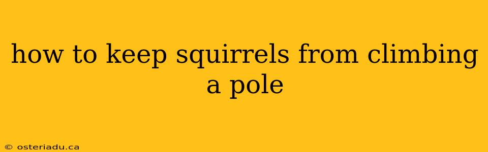 how to keep squirrels from climbing a pole