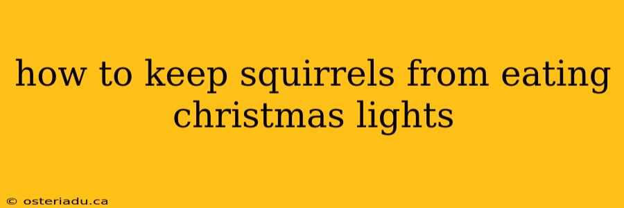 how to keep squirrels from eating christmas lights