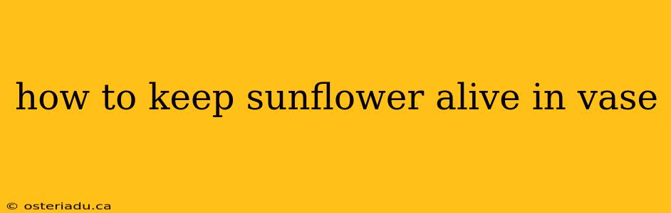 how to keep sunflower alive in vase