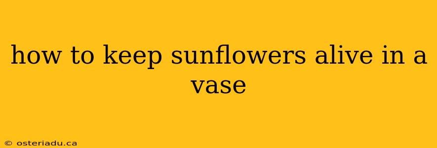 how to keep sunflowers alive in a vase