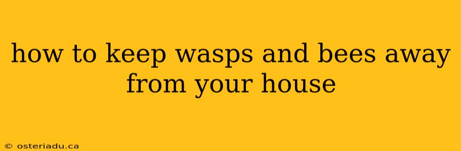 how to keep wasps and bees away from your house