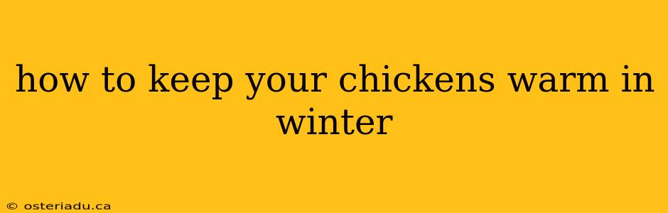 how to keep your chickens warm in winter