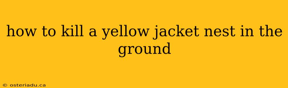 how to kill a yellow jacket nest in the ground