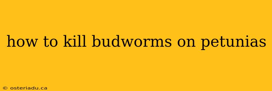 how to kill budworms on petunias