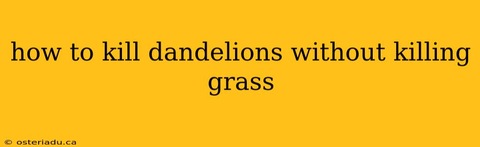 how to kill dandelions without killing grass