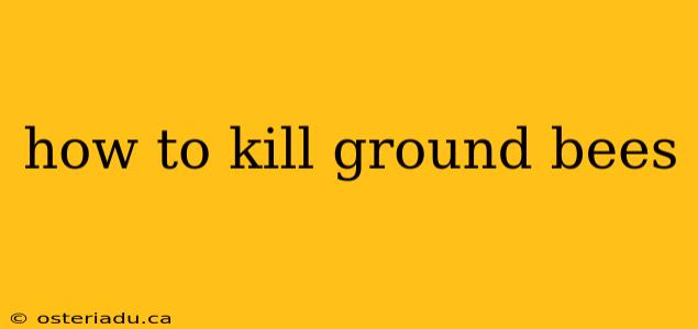 how to kill ground bees