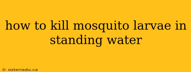 how to kill mosquito larvae in standing water