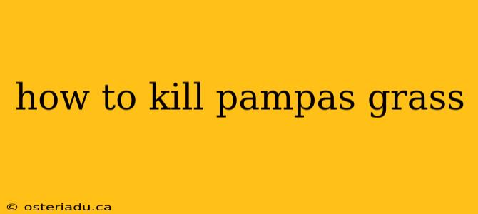 how to kill pampas grass