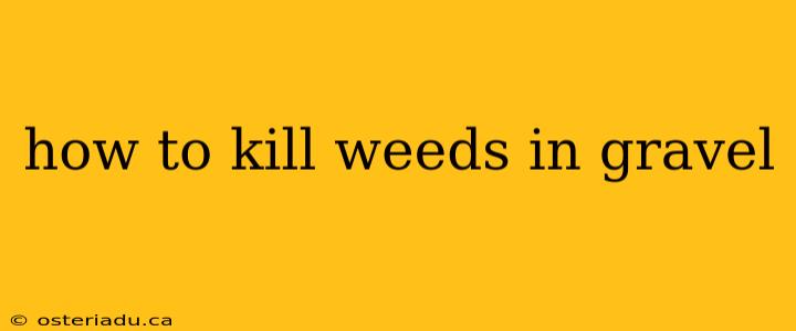 how to kill weeds in gravel