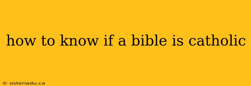 how to know if a bible is catholic