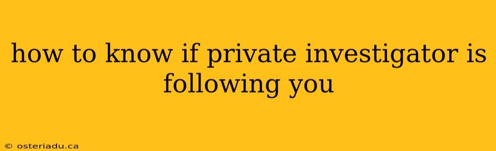 how to know if private investigator is following you