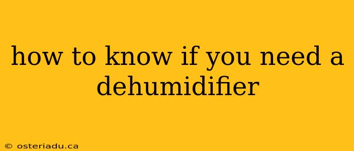 how to know if you need a dehumidifier