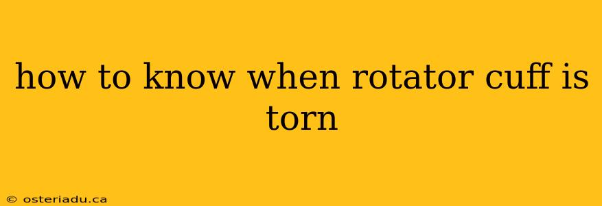 how to know when rotator cuff is torn