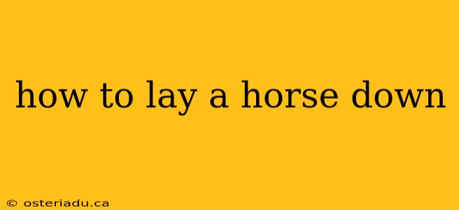 how to lay a horse down